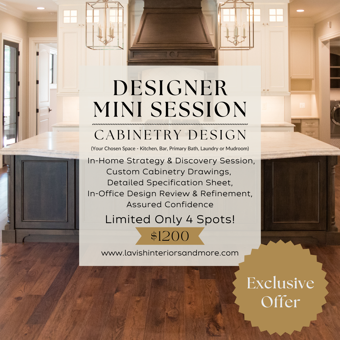Designer Mini Session - Cabinetry Design